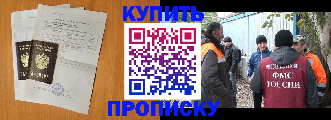 где прописаться в Кашине